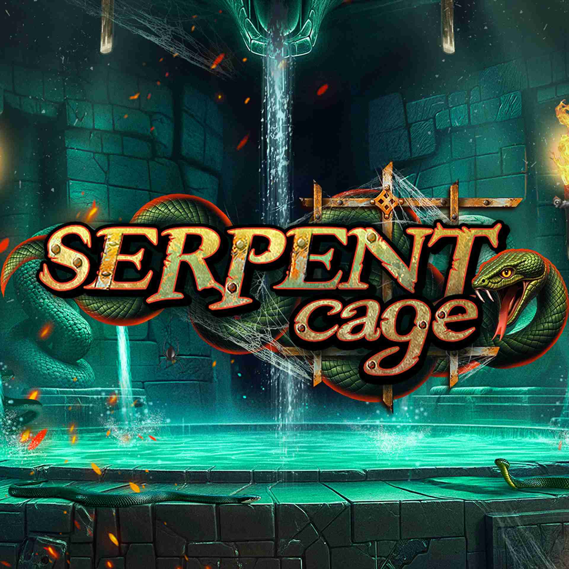 5161. com plataforma